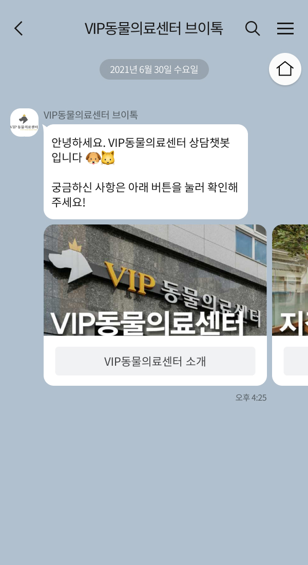 VIP동물의료센터 브이톡 챗봇 이미지